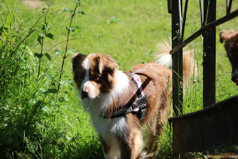 Fidji et Dakota le 6 juin 2013